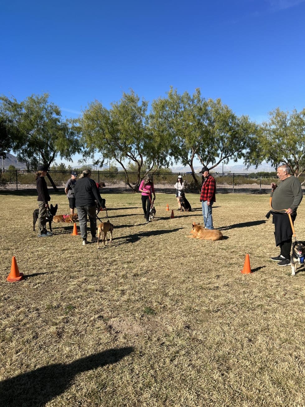 Saturday group training gathering in Henderson, 2023