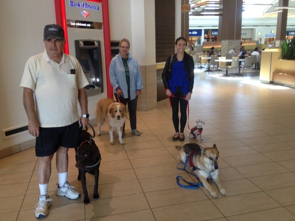 Group training for public access and certifications at the Galleria Mall in Henderson