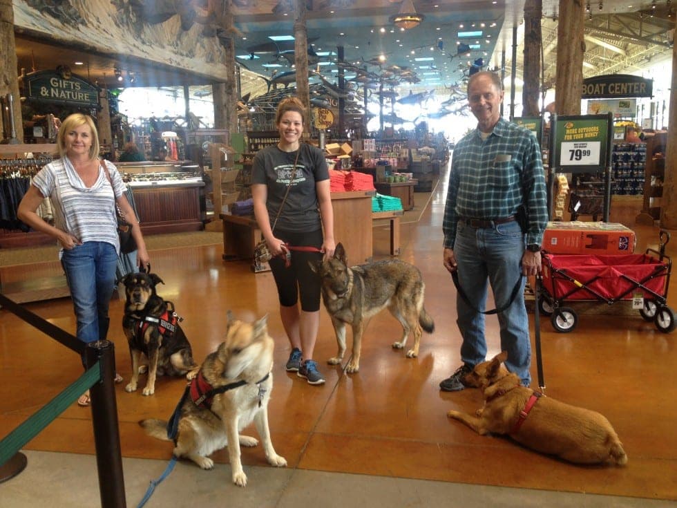 Therapy and behavior modification training at Bass Pro Shops in Las Vegas