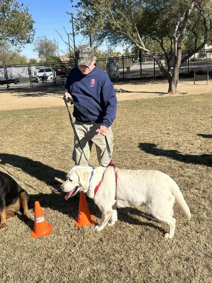 Dogs and handlers practicing together during a K-9 Handler training session in Henderson